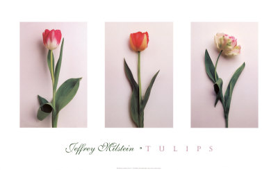 Tulips by Jeff Milstein Pricing Limited Edition Print image