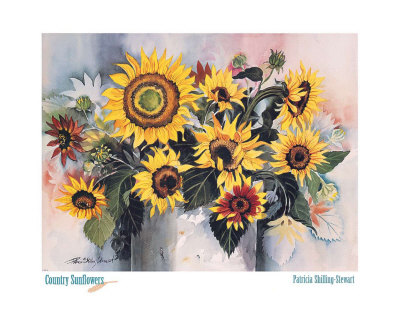 Country Sunflowers by Patricia Shilling-Stewart Pricing Limited Edition Print image
