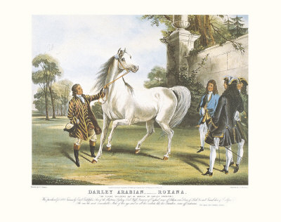 Darley Arabian, Roxana by Francis Calcraft Turner Pricing Limited Edition Print image