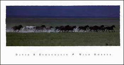 Wild Horses by David R. Stoecklein Pricing Limited Edition Print image