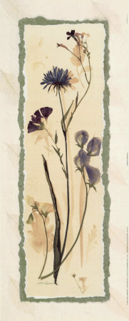 Dried Flowers Ii by Carol Robinson Pricing Limited Edition Print image