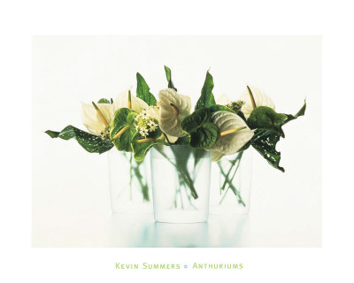 Anthuriums by Kevin Summers Pricing Limited Edition Print image