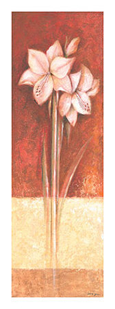 White Amaryllis by Laura Lynen Pricing Limited Edition Print image
