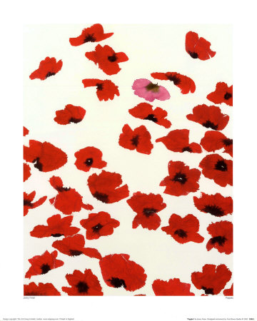 Poppies by Jenny Frean Pricing Limited Edition Print image