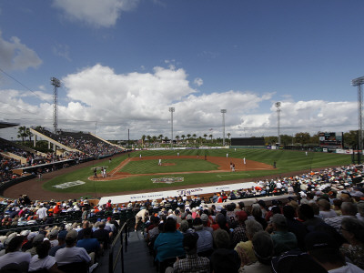 Baltimore Orioles V Detroit Tigers, Lakeland, Fl - March 04 by Leon Halip Pricing Limited Edition Print image