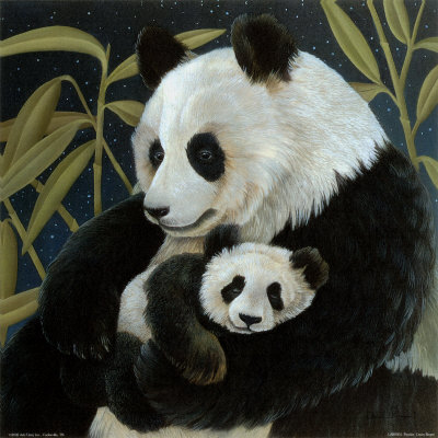 Pandas by Laura Regan Pricing Limited Edition Print image