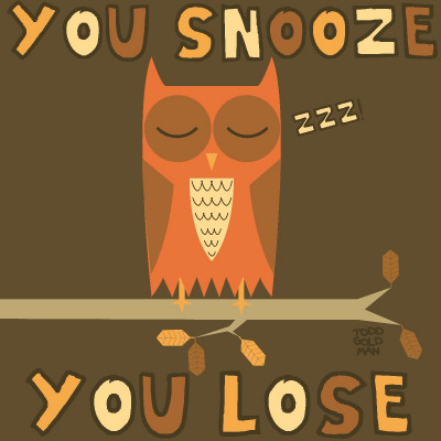 Snooze Loose Owls by Todd Goldman Pricing Limited Edition Print image
