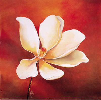 Magnolia Beauty I by Karen Foley Pricing Limited Edition Print image