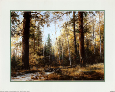 First Snow by Durgin Pricing Limited Edition Print image