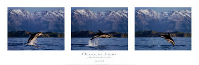 Ocean Of Light by Bob Talbot Pricing Limited Edition Print image