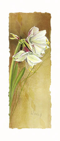 Beige Amaryllis by Franz Heigl Pricing Limited Edition Print image