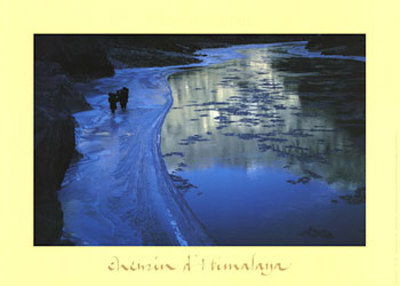 Chemin D'himalaya by Olivier Follmi Pricing Limited Edition Print image