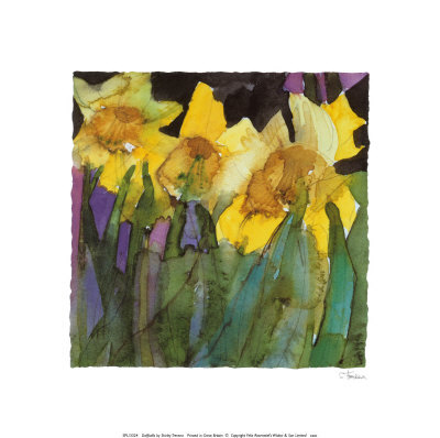 Daffodils by Shirley Trevena Pricing Limited Edition Print image