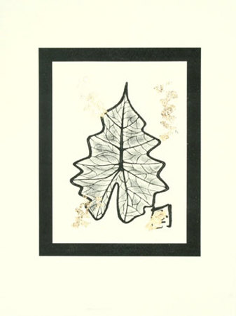 Gold Leaf Embellished Botanical Ii by Jennifer Goldberger Pricing Limited Edition Print image