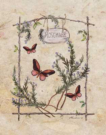 Rosemary Butterfly by Consuelo Gamboa Pricing Limited Edition Print image