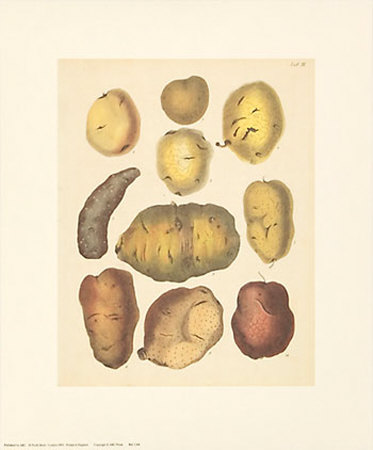 Potatoes by Cawler Pricing Limited Edition Print image