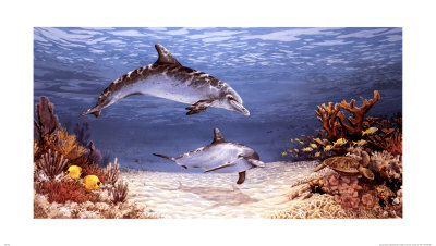 Dolphin World by James Harris Pricing Limited Edition Print image