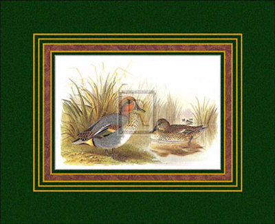 Ducks Ii by H. Jones Pricing Limited Edition Print image