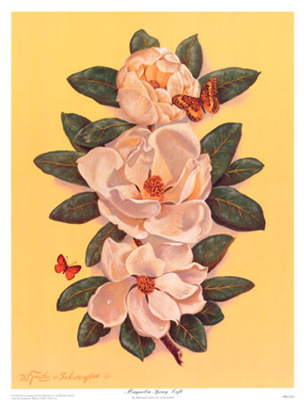 Magnolia Spray Left by Waltrand Von Schwarzbek Pricing Limited Edition Print image