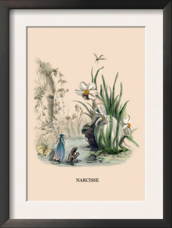 Narcisse by J.J. Grandville Pricing Limited Edition Print image