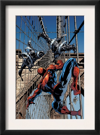 Amazing Spider-Man #512 Cover: Spider-Man And Stacy Twins Fighting And Flying by Mike Deodato Jr. Pricing Limited Edition Print image