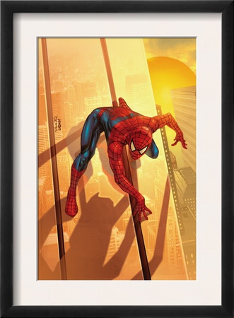 Spider-Man Unlimited #12 Cover: Spider-Man by Salvador Larroca Pricing Limited Edition Print image