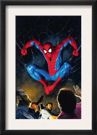 The Amazing Spider-Man #518 Cover: Spider-Man by Mike Deodato Jr. Pricing Limited Edition Print image