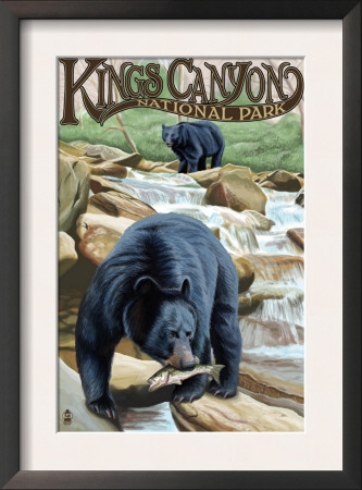 Kings Canyon Nat'l Park - Black Bears Fishing - Lp Poster, C.2009 by Lantern Press Pricing Limited Edition Print image