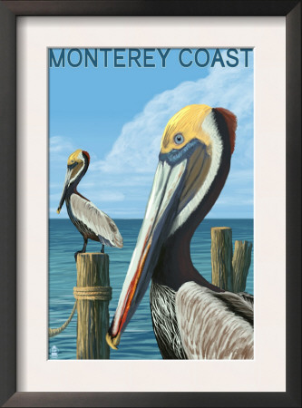 Monterey Coast, California - Pelicans, C.2009 by Lantern Press Pricing Limited Edition Print image