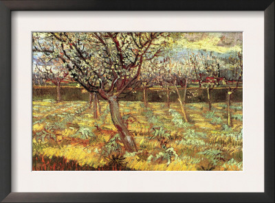 Apricot Trees In Blossom by Vincent Van Gogh Pricing Limited Edition Print image