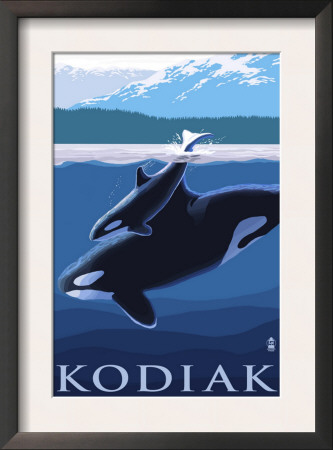 Kodiak, Alaska - Orca And Calf, C.2009 by Lantern Press Pricing Limited Edition Print image