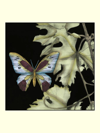 Butterfly On Vine I by Jennifer Goldberger Pricing Limited Edition Print image