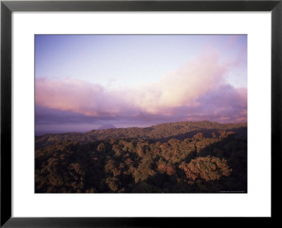 Rain Forest At Sunset, Costa Rica by Bruce Clarke Pricing Limited Edition Print image