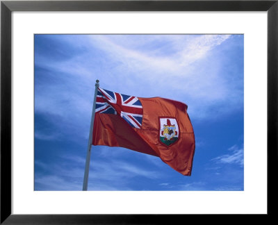 The Bermuda Flag by Francie Manning Pricing Limited Edition Print image