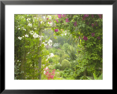 View Through Trellis Arch Of Clematis Etoil Violette Into Garden by Mark Bolton Pricing Limited Edition Print image
