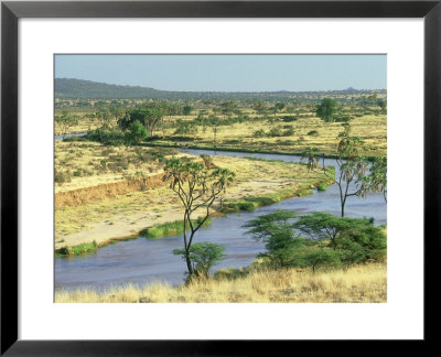 River Ewaso Ngiro, Samburu Nr, Kenya by Werner Bollmann Pricing Limited Edition Print image