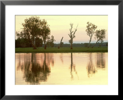 Sunset, Kakadu National Park, Australia by Robin Bush Pricing Limited Edition Print image