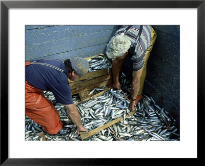 Fishermen Crating Up Sardine, Ribeira, Spain by David Cayless Pricing Limited Edition Print image