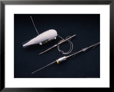 Two Different Satellite Devices For Tracking Bowhead Whales by Gerard Soury Pricing Limited Edition Print image