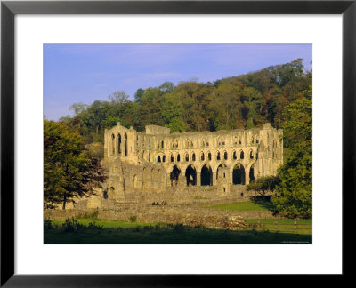 Rievaulx Abbey, Old Cistercian Abbey, Ryedale, North Yorkshire, England, Uk, Europe by John Miller Pricing Limited Edition Print image