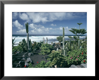 Garden By The Atlantic Ocean, El Golfo, Lanzarote, Canary Islands, Spain, Europe by Jean Brooks Pricing Limited Edition Print image