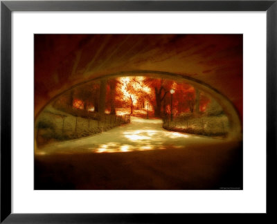 Central Park, No. 1 by Katherine Sanderson Pricing Limited Edition Print image