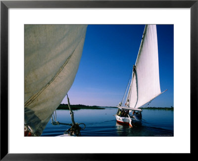 Fishing Sail Boats, Or Felluca's, On Nile River, Egypt by Jane Sweeney Pricing Limited Edition Print image