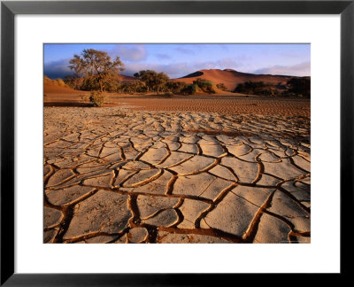 Cracked Mud, Dunes And Camel Thorn Trees Near Sossusvlei by Karl Lehmann Pricing Limited Edition Print image