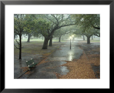 Rain Softly Falls On White Point Gardens by Rex Stucky Pricing Limited Edition Print image