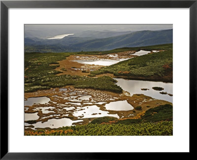 The Numanodaira Wetlands' Swirl Of Lakes, Bogs, And Beech Forests by Michael S. Yamashita Pricing Limited Edition Print image