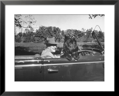 President Franklin D. Roosevelt Driving In His Convertible With His Dog Fala Through Hyde Park by George Skadding Pricing Limited Edition Print image