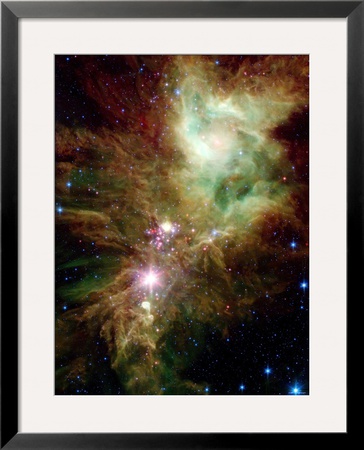 Christmas Tree Cluster by Stocktrek Images Pricing Limited Edition Print image