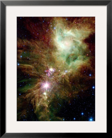 Christmas Tree Cluster by Stocktrek Images Pricing Limited Edition Print image