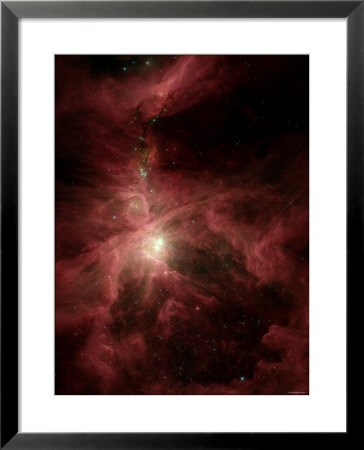 Orion's Inner Beauty by Stocktrek Images Pricing Limited Edition Print image